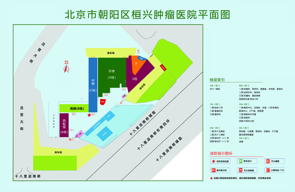 骚气操逼北京市朝阳区桓兴肿瘤医院平面图